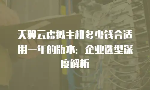 天翼云虚拟主机多少钱合适用一年的版本：企业选型深度解析