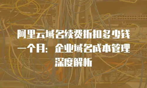 阿里云域名续费折扣多少钱一个月：企业域名成本管理深度解析