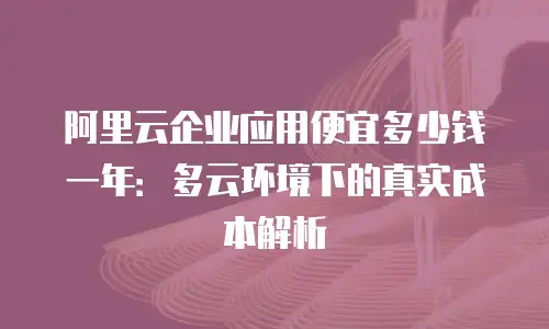 阿里云企业应用便宜多少钱一年：多云环境下的真实成本解析