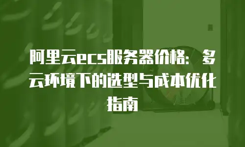 阿里云ecs服务器价格：多云环境下的选型与成本优化指南