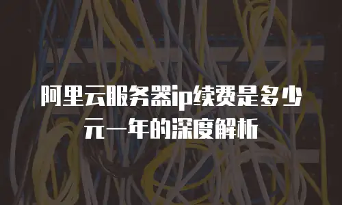 阿里云服务器ip续费是多少元一年的深度解析