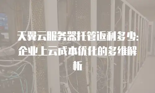 天翼云服务器托管返利多少：企业上云成本优化的多维解析