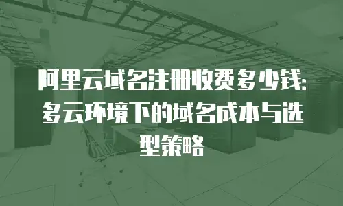 阿里云域名注册收费多少钱：多云环境下的域名成本与选型策略