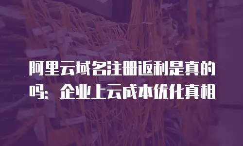 阿里云域名注册返利是真的吗：企业上云成本优化真相