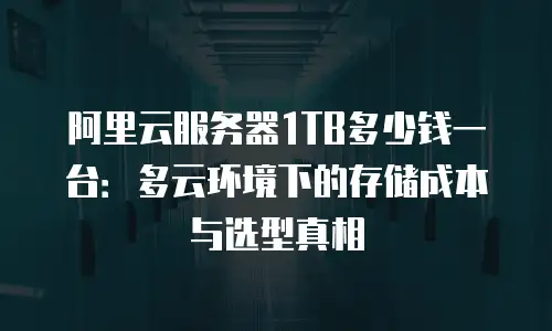 阿里云服务器1TB多少钱一台：多云环境下的存储成本与选型真相