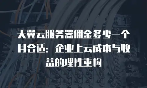 天翼云服务器佣金多少一个月合适：企业上云成本与收益的理性重构