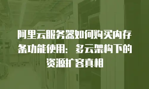 阿里云服务器如何购买内存条功能使用：多云架构下的资源扩容真相