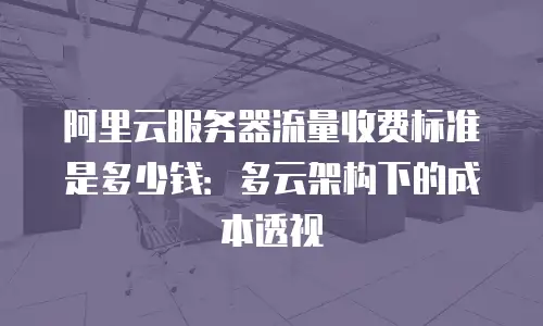 阿里云服务器流量收费标准是多少钱：多云架构下的成本透视