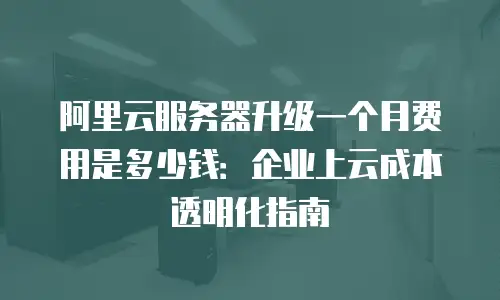 阿里云服务器升级一个月费用是多少钱：企业上云成本透明化指南