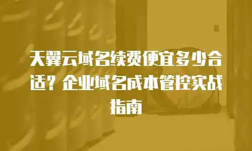 天翼云域名续费便宜多少合适？企业域名成本管控实战指南