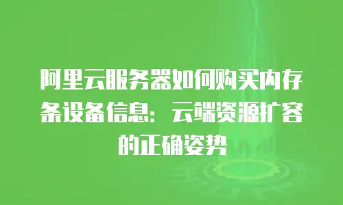 阿里云服务器如何购买内存条设备信息：云端资源扩容的正确姿势