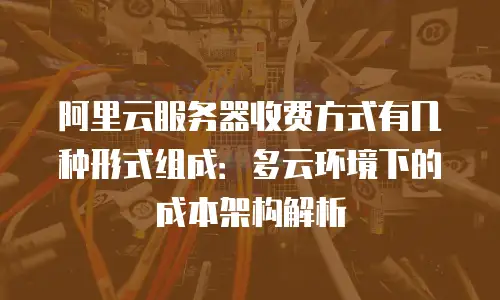 阿里云服务器收费方式有几种形式组成：多云环境下的成本架构解析