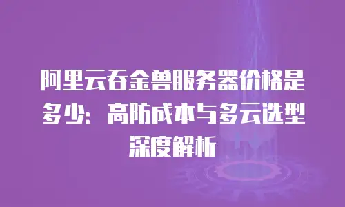 阿里云吞金兽服务器价格是多少：高防成本与多云选型深度解析