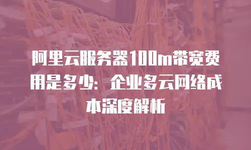 阿里云服务器100m带宽费用是多少：企业多云网络成本深度解析