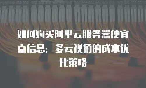 如何购买阿里云服务器便宜点信息：多云视角的成本优化策略