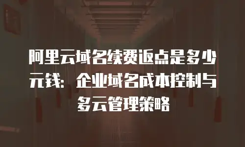 阿里云域名续费返点是多少元钱：企业域名成本控制与多云管理策略