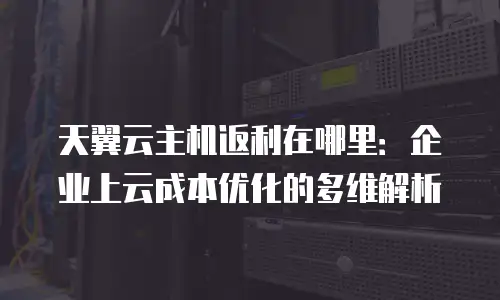 天翼云主机返利在哪里：企业上云成本优化的多维解析