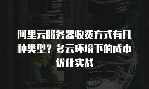 阿里云服务器收费方式有几种类型？多云环境下的成本优化实战