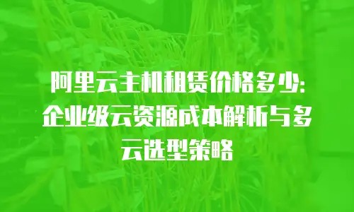阿里云主机租赁价格多少：企业级云资源成本解析与多云选型策略