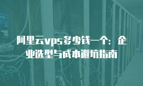 阿里云vps多少钱一个：企业选型与成本避坑指南