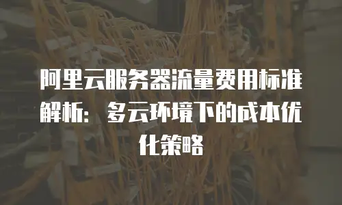 阿里云服务器流量费用标准解析：多云环境下的成本优化策略