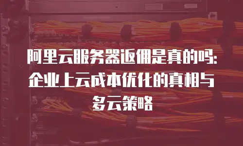 阿里云服务器返佣是真的吗：企业上云成本优化的真相与多云策略