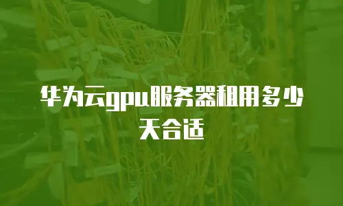 华为云gpu服务器租用多少天合适