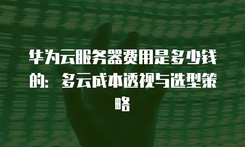华为云服务器费用是多少钱的：多云成本透视与选型策略
