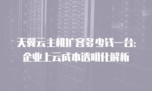 天翼云主机扩容多少钱一台：企业上云成本透明化解析