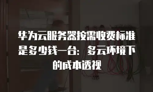 华为云服务器按需收费标准是多少钱一台：多云环境下的成本透视