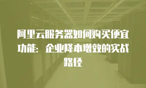 阿里云服务器如何购买便宜功能：企业降本增效的实战路径