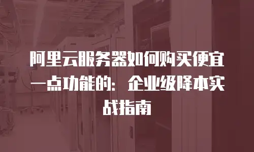 阿里云服务器如何购买便宜一点功能的：企业级降本实战指南