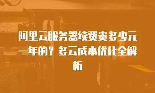 阿里云服务器续费贵多少元一年的？多云成本优化全解析