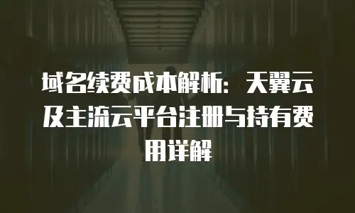 域名续费成本解析：天翼云及主流云平台注册与持有费用详解