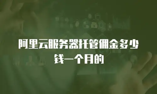 阿里云服务器托管佣金多少钱一个月的
