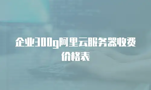 企业300g阿里云服务器收费价格表