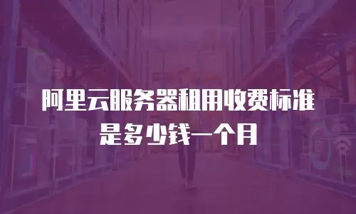 阿里云服务器租用收费标准是多少钱一个月