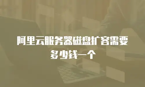 阿里云服务器磁盘扩容需要多少钱一个