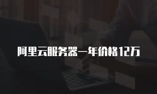 阿里云服务器一年价格12万
