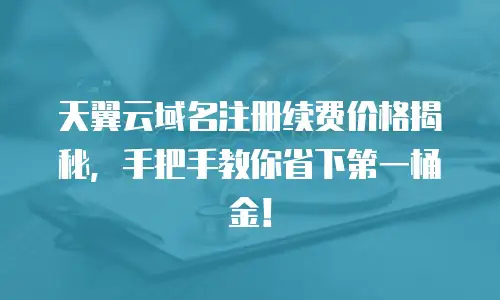 天翼云域名注册续费价格揭秘，手把手教你省下第一桶金！
