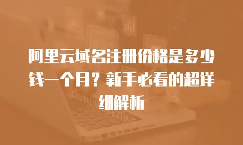 阿里云域名注册价格是多少钱一个月？新手必看的超详细解析
