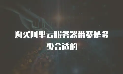 购买阿里云服务器带宽是多少合适的