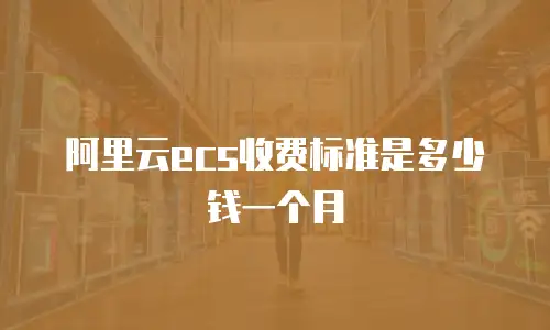 阿里云ecs收费标准是多少钱一个月