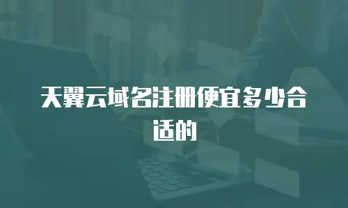 天翼云域名注册便宜多少合适的