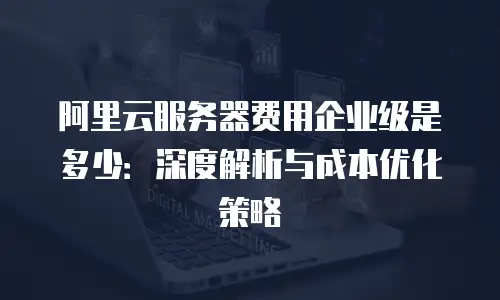 阿里云服务器费用企业级是多少：深度解析与成本优化策略