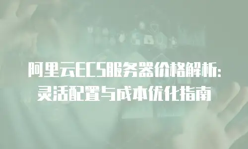 阿里云ECS服务器价格解析：灵活配置与成本优化指南