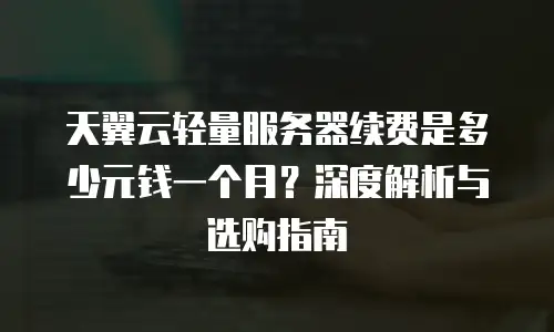 天翼云轻量服务器续费是多少元钱一个月？深度解析与选购指南