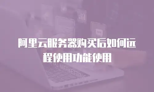 阿里云服务器购买后如何远程使用功能使用