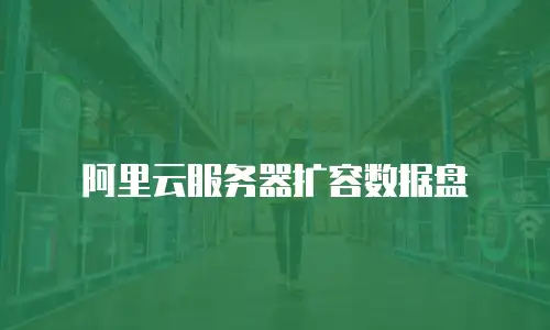 阿里云服务器扩容数据盘