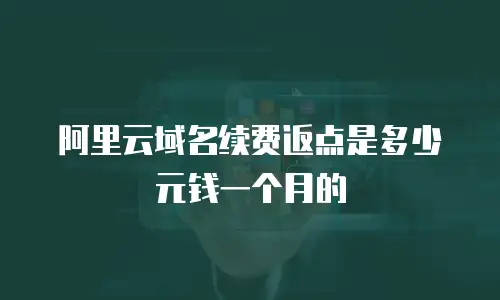 阿里云域名续费返点是多少元钱一个月的